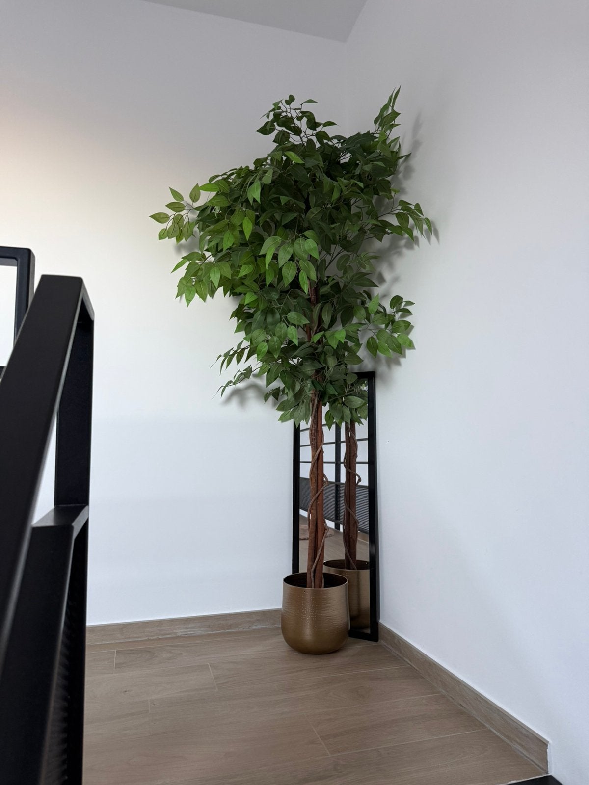 Fausse plante ficus, Enlèvement, Comme neuf