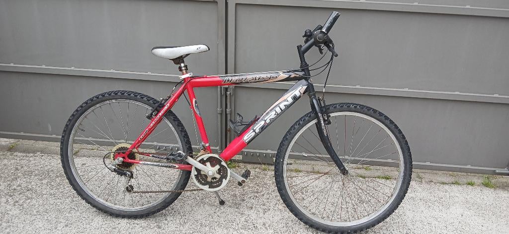 Jongensfiets, Fietsen en Brommers, Ophalen, Gebruikt, 26 inch of meer, Versnellingen