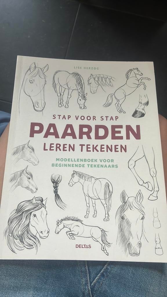 Tekenboek: stap voor stap paarden leren tekenen, Ophalen of Verzenden, Nieuw