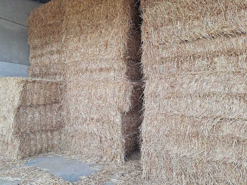 Stro te koop, Ophalen of Verzenden, Overige soorten