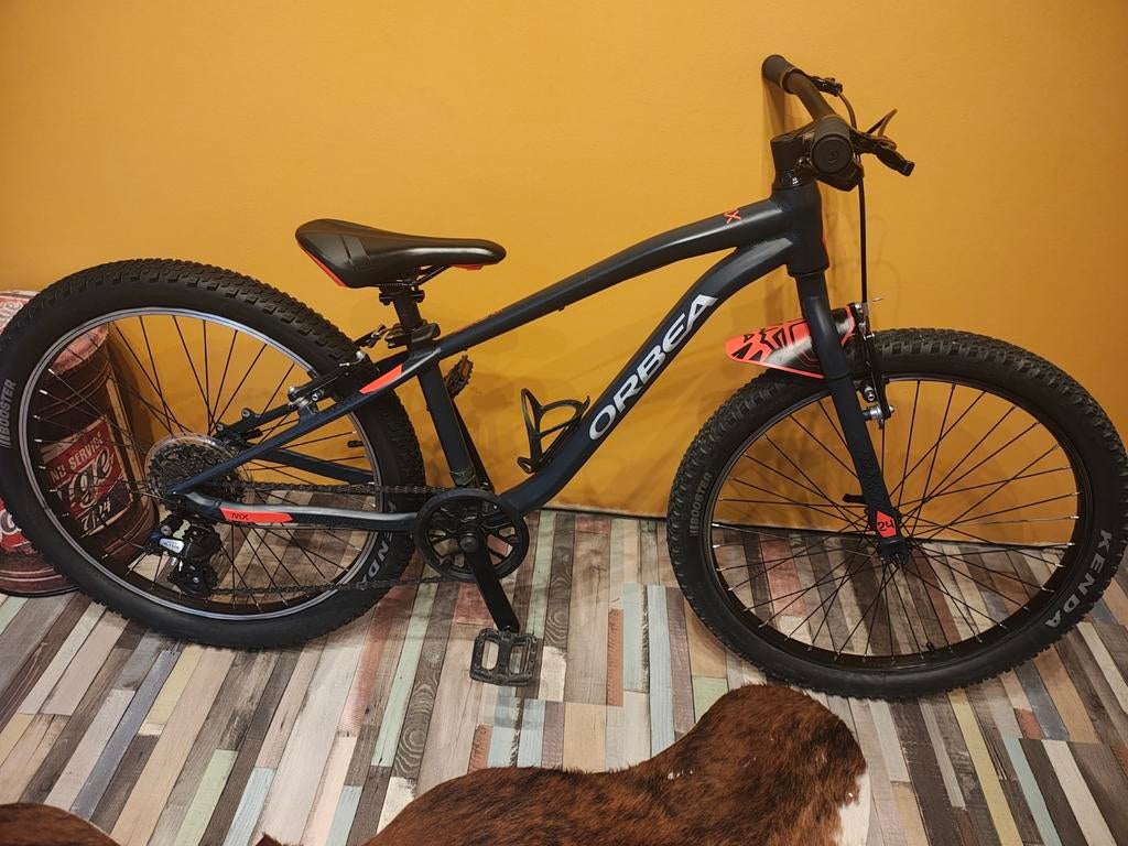 Orbea mx 24 pouces, Enlèvement