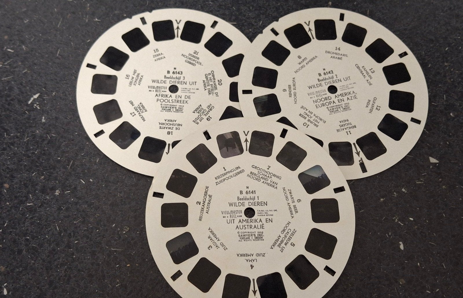 Vintage viewmaster View-Master Wilde Dieren B6141, Ophalen of Verzenden, Zo goed als nieuw