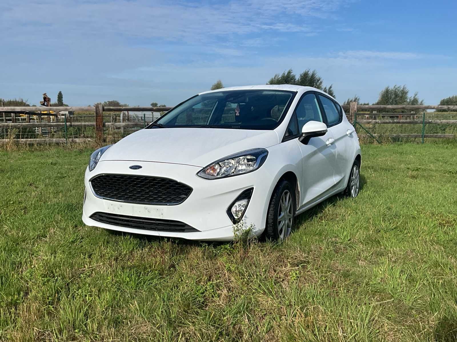 Ford Fiesta 2021, Autos, Achat, Entreprise, Boîte manuelle, Autre carrosserie