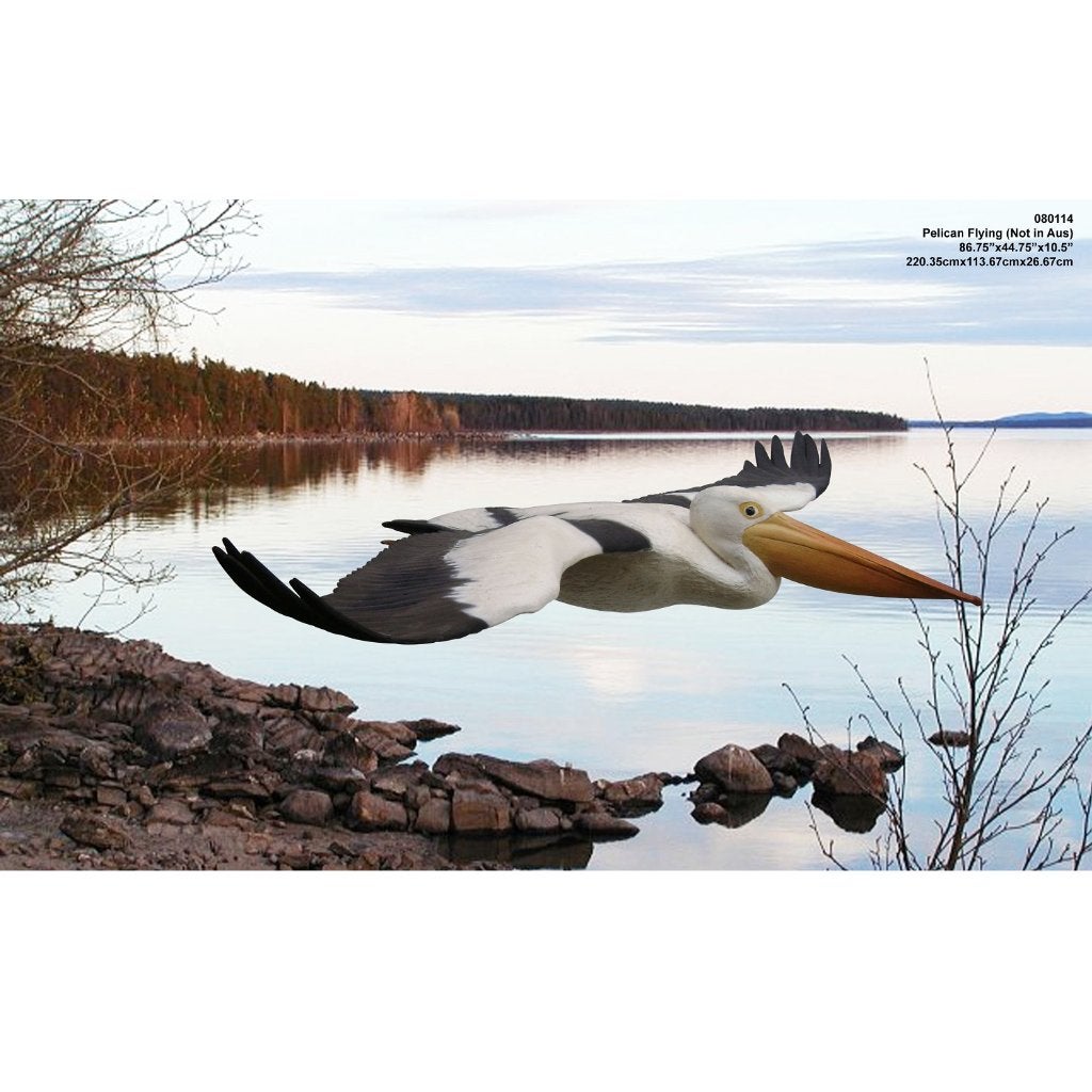 Pelican Flying – Pelikaan beeld Breedte 221 cm, Ophalen, Nieuw
