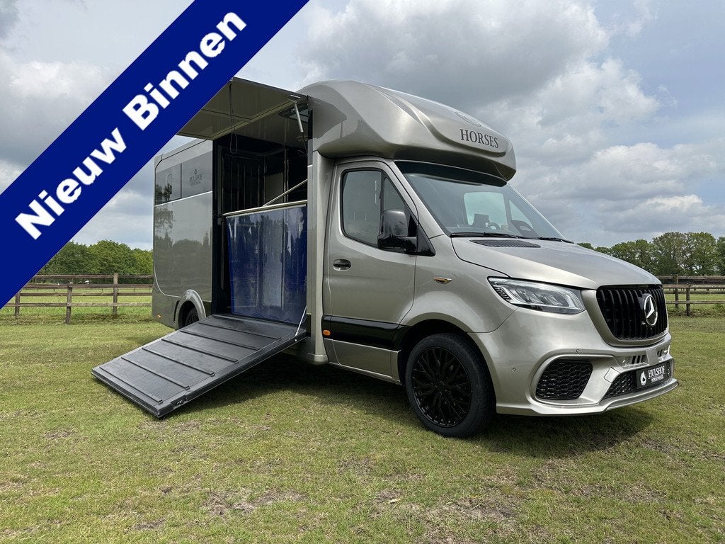 Mercedes-Benz Sprinter 317 AMG XXL 2-paards paardenvrachtwag, Dieren en Toebehoren, Gebruikt, Info@hulshof-trading.nl, Overige typen