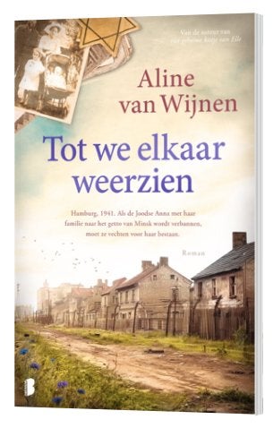 Boek 'Tot we elkaar weerzien' - Aline van Wijnen, Livres, Romans, Comme neuf, Envoi