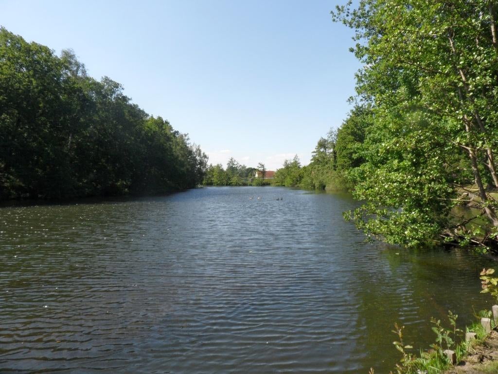 Joli terrain de loisirs au bord de l'eau (pêche/baignade), Enlèvement, Neuf