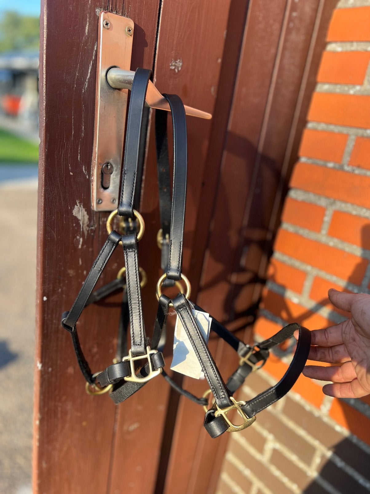 2 lederen veulenhalsters, Animaux & Accessoires, Chevaux & Poneys | Brides & Harnachement, Enlèvement, Neuf, Noir, Licou
