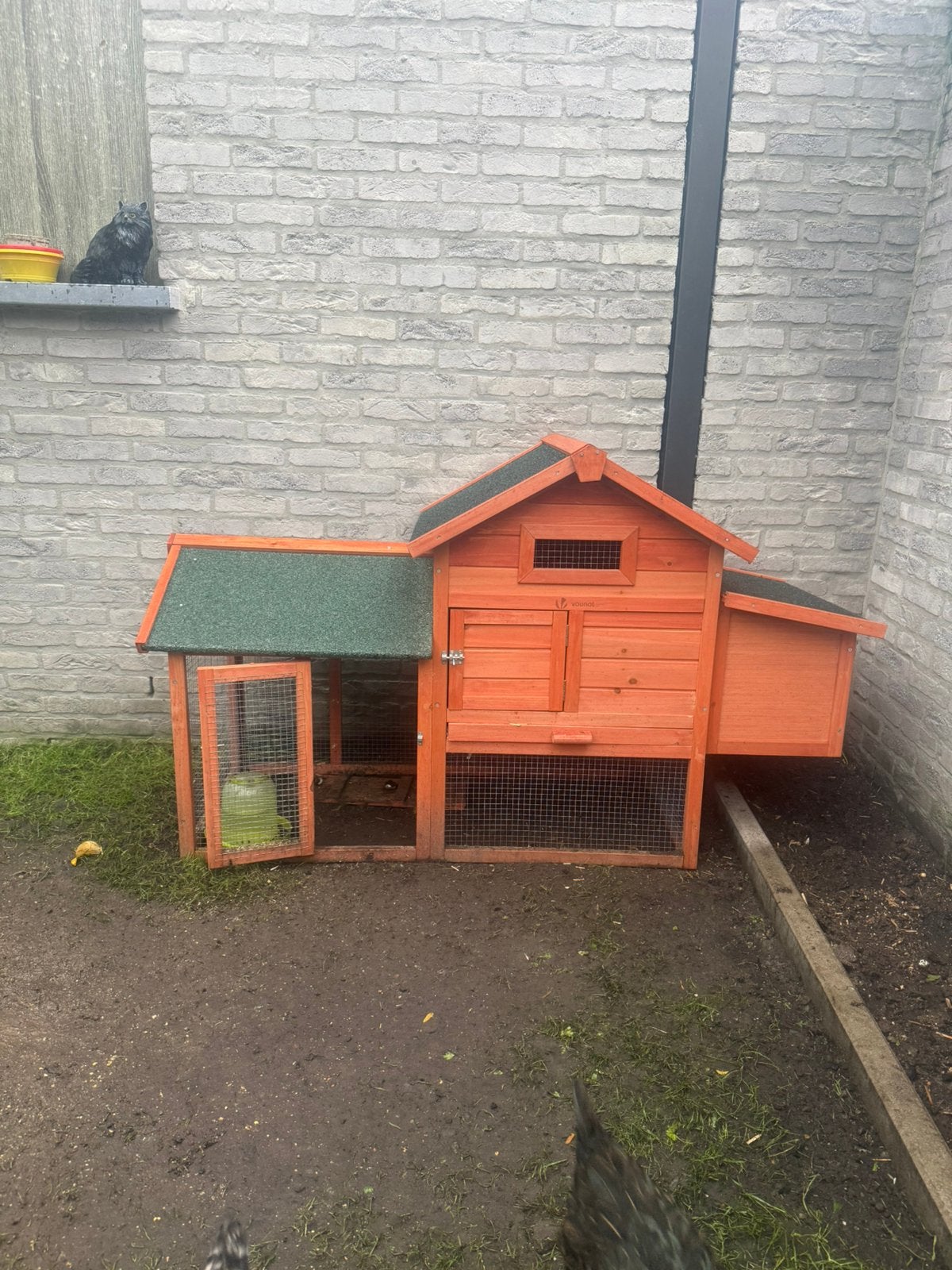 Kippen met kippenhok, Dieren en Toebehoren, Ophalen of Verzenden, Zo goed als nieuw