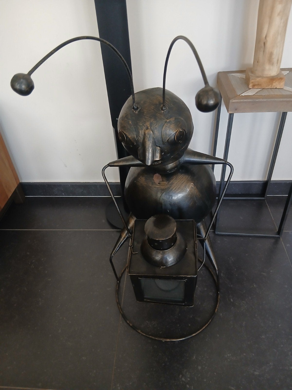 decoratieve mier, Ophalen