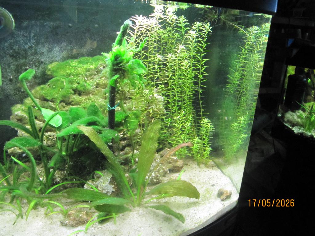 Sera aquarium nano led cube 60 liter met meubel, Dieren en Toebehoren, Ophalen, Sera