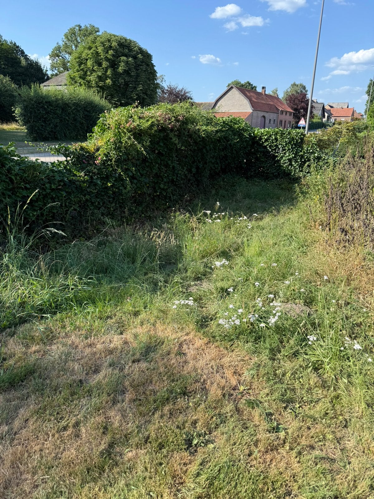 Beginnende tuinman - Lage prijzen!, Enlèvement