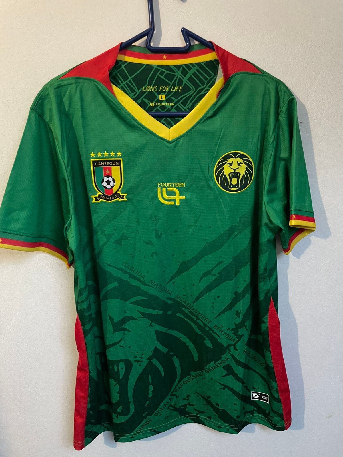 Maillot du Cameroun taille S, Taille S, Enlèvement, Comme neuf, Maillot