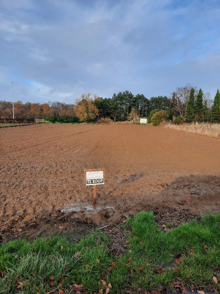 Perceel landbouwgrond, Immo, Terrains & Terrains à bâtir, 1500 m² ou plus, Ventes sans courtier