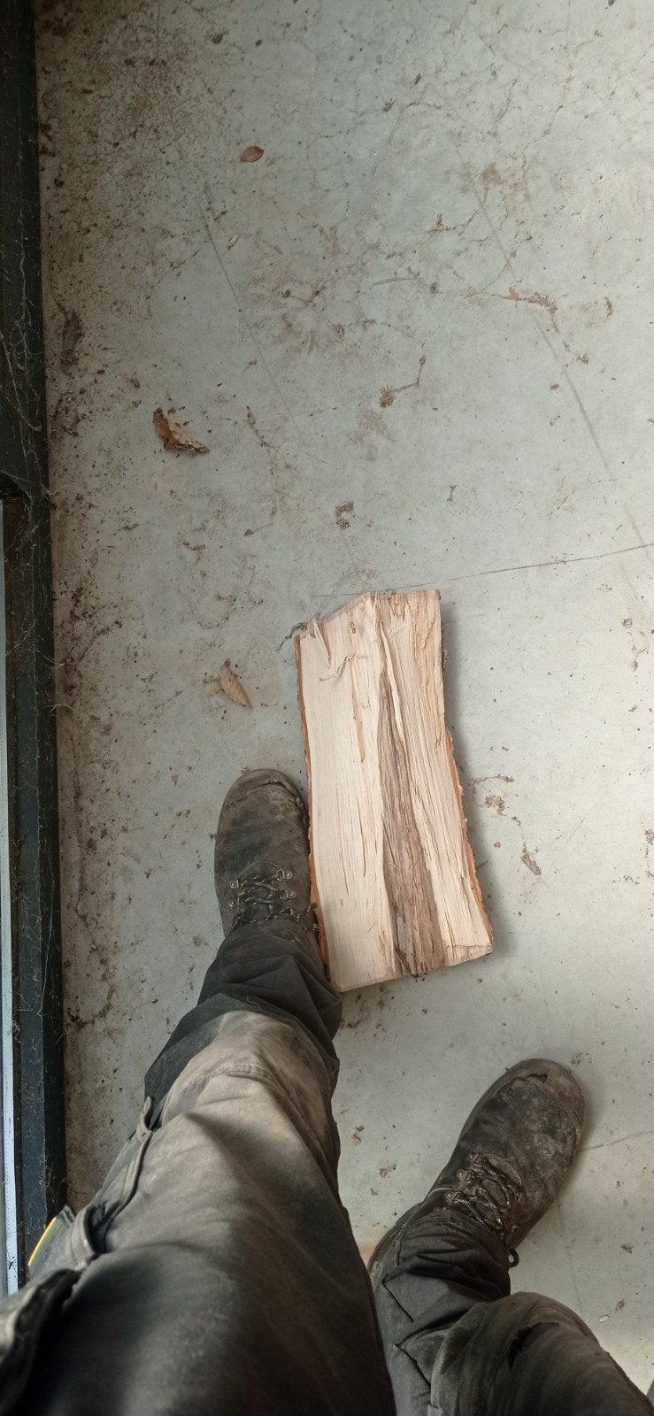 Brandhout es niet droog 90 € per kuub, Tuin en Terras, Brandhout, Ophalen