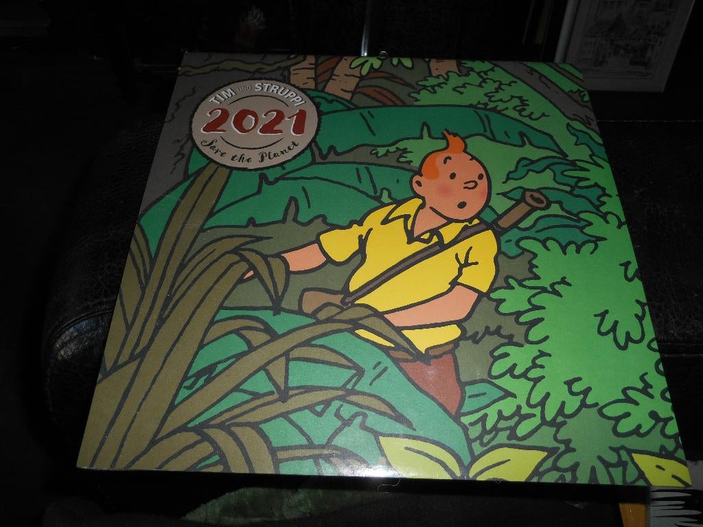 Tintin Calendrier 2021 sous blister, Enlèvement ou Envoi, Tintin