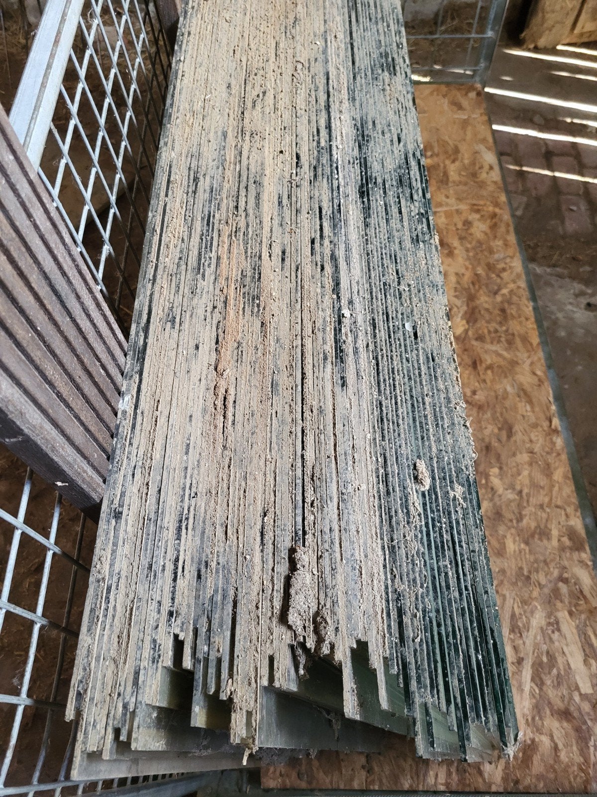 Serreglas, Tuin en Terras, Kassen, Ophalen