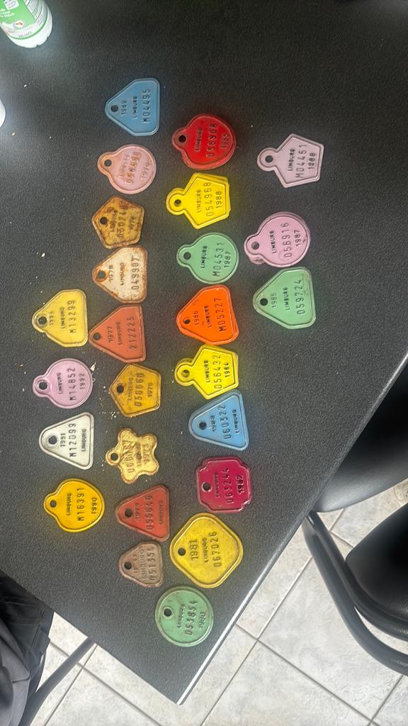 Fiets taks  plaatje 5 euro/st, Ophalen, Gebruikt
