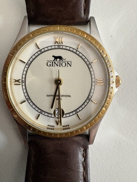 Montre Ginion Homme, Montre-bracelet, Cuir, Enlèvement, Acier