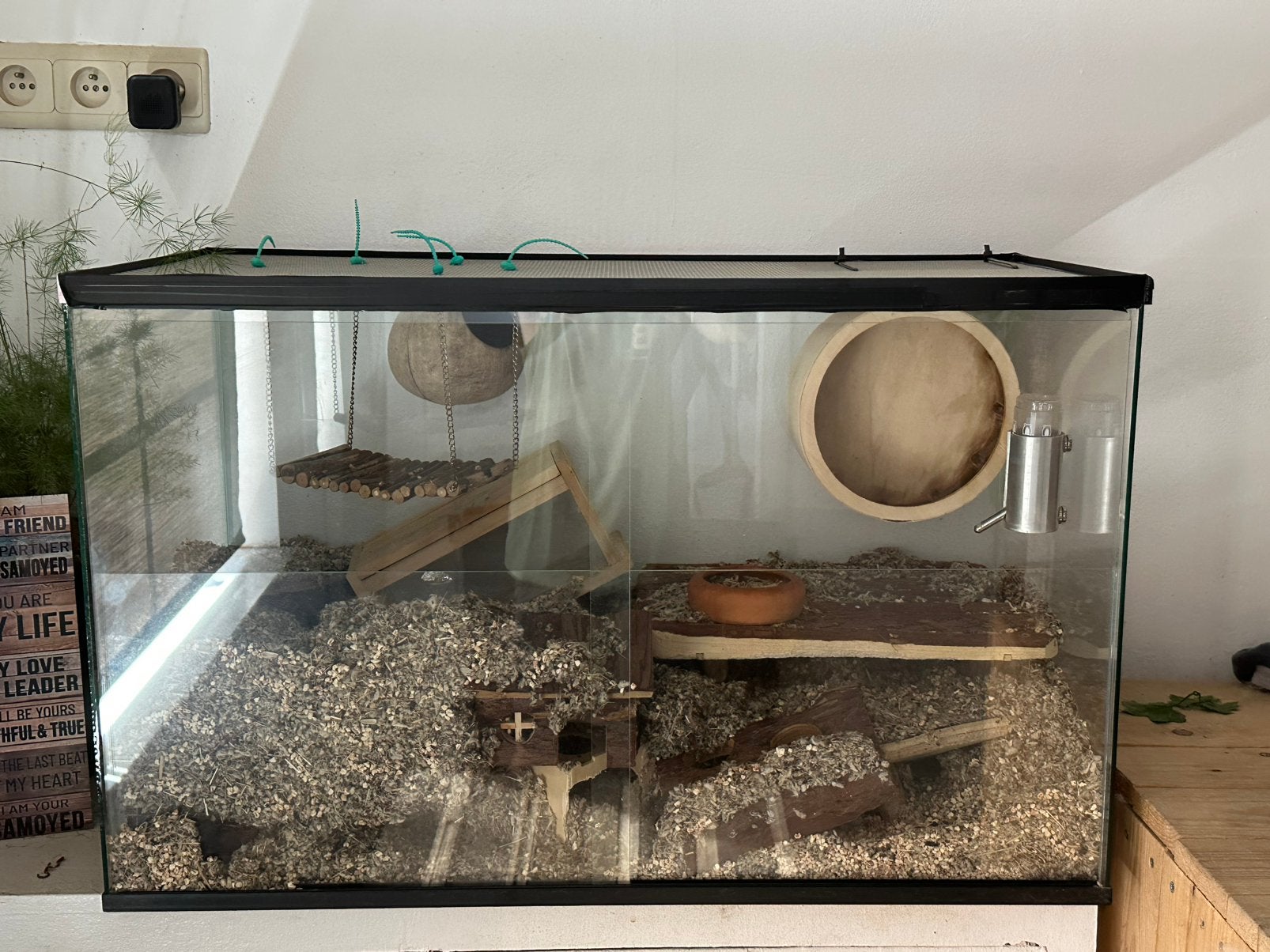 Gerbilarium met 2 gerbil vrouwtjes, Animaux & Accessoires, Rongeurs & Lapins | Cages & Clapiers, Comme neuf, Niche, Enlèvement