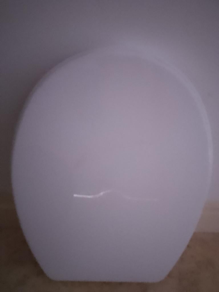 Witte wc-bril., Huis en Inrichting, Ophalen