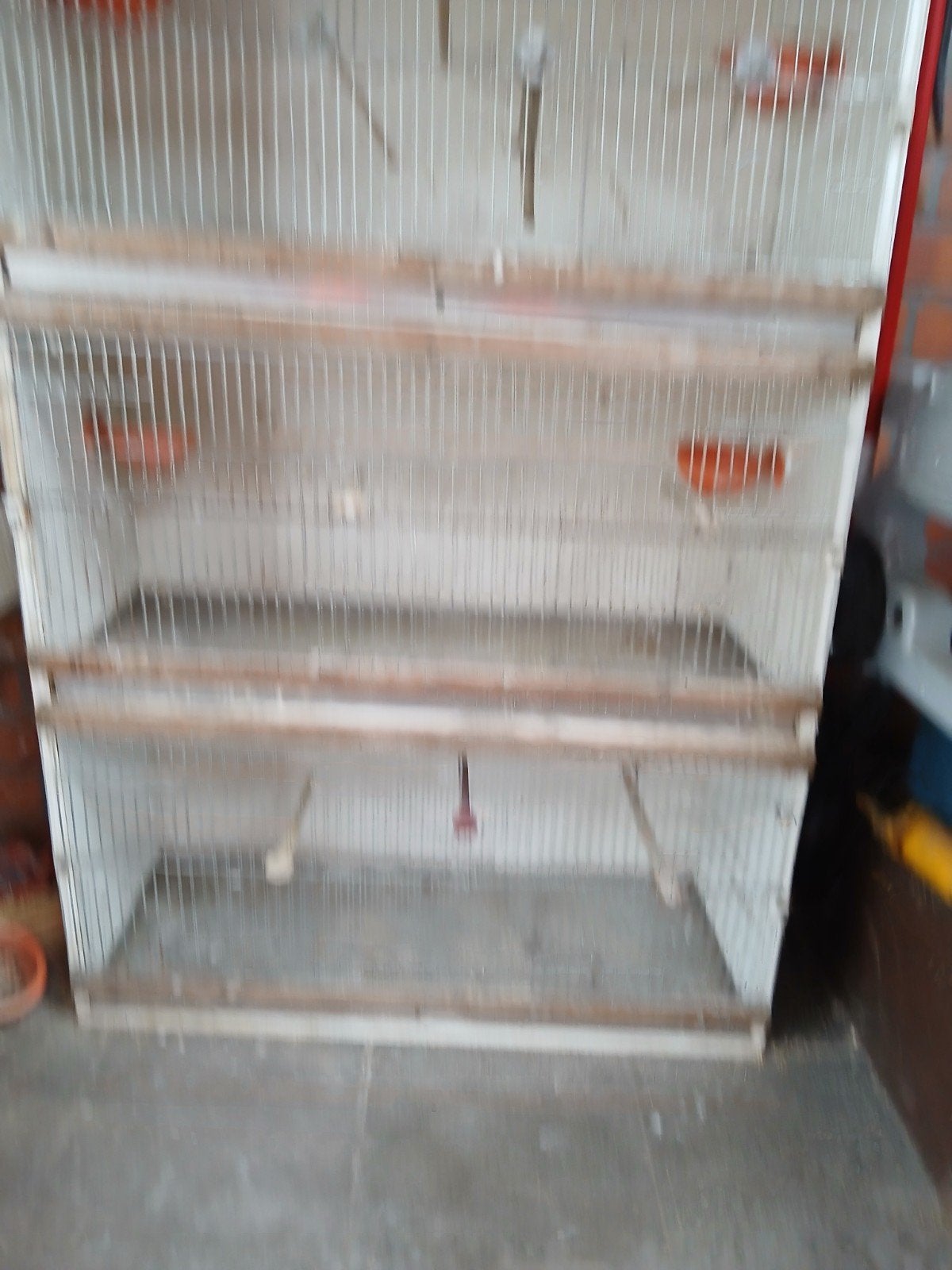 Kweekkooi met 3 kooien, Ophalen