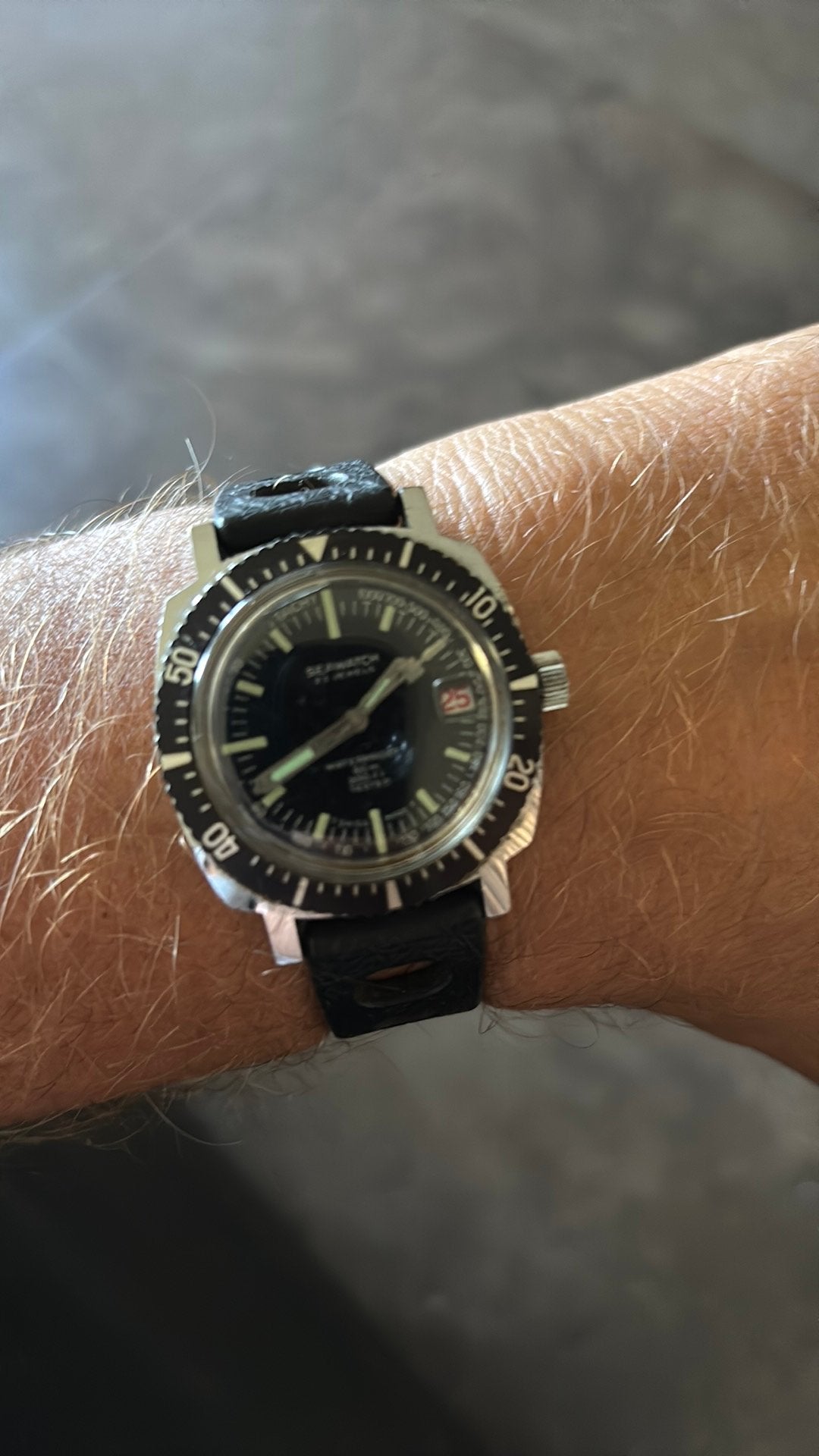 Seawatch Diver, Handtassen en Accessoires, Horloges | Heren, Ophalen of Verzenden, Zo goed als nieuw