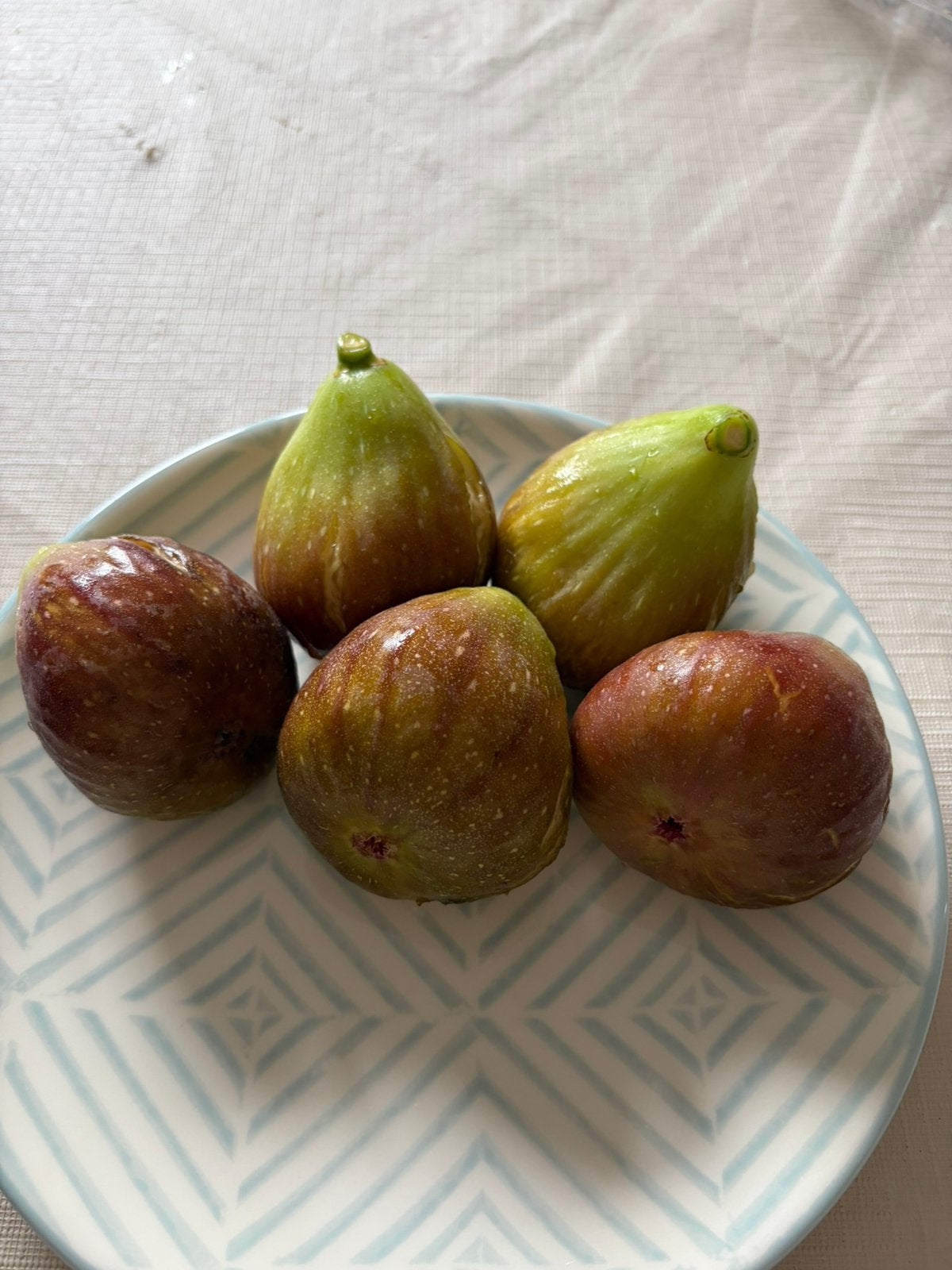 Zoete Vijgen €4/kilo, Jardin & Terrasse, Enlèvement, Figuier