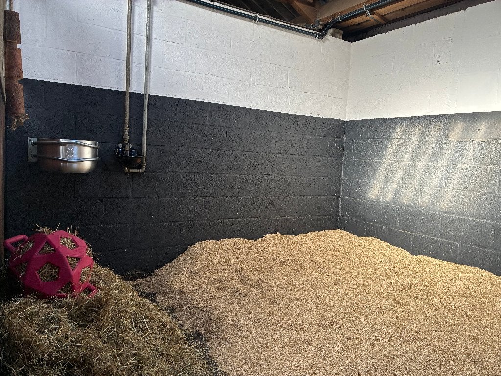 Pension Box, Animaux & Accessoires, Mise à l'étable, 2 ou 3 chevaux ou poneys
