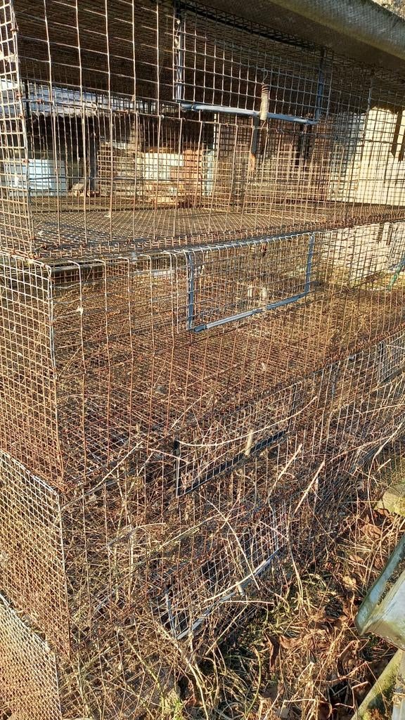 Draadhok voor dieren.., Ophalen, Metaal