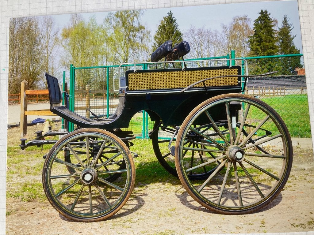 diverse koetsen pony's, Dieren en Toebehoren, Zo goed als nieuw, Overige typen, Pony