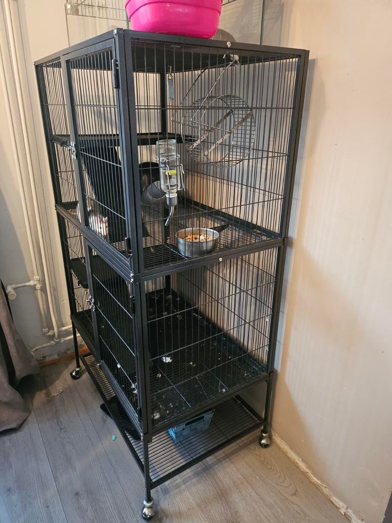 Zo goed als nieuw Rattenkooi, Dieren en Toebehoren, Ophalen, Kooi, Eekhoorn, Zo goed als nieuw