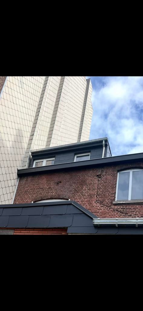 Travaux de toiture Liège et allentour !, Bricolage & Construction, Enlèvement ou Envoi