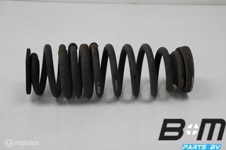 Schroefveer achter Opel Insignia 2018 8419855, Utilisé