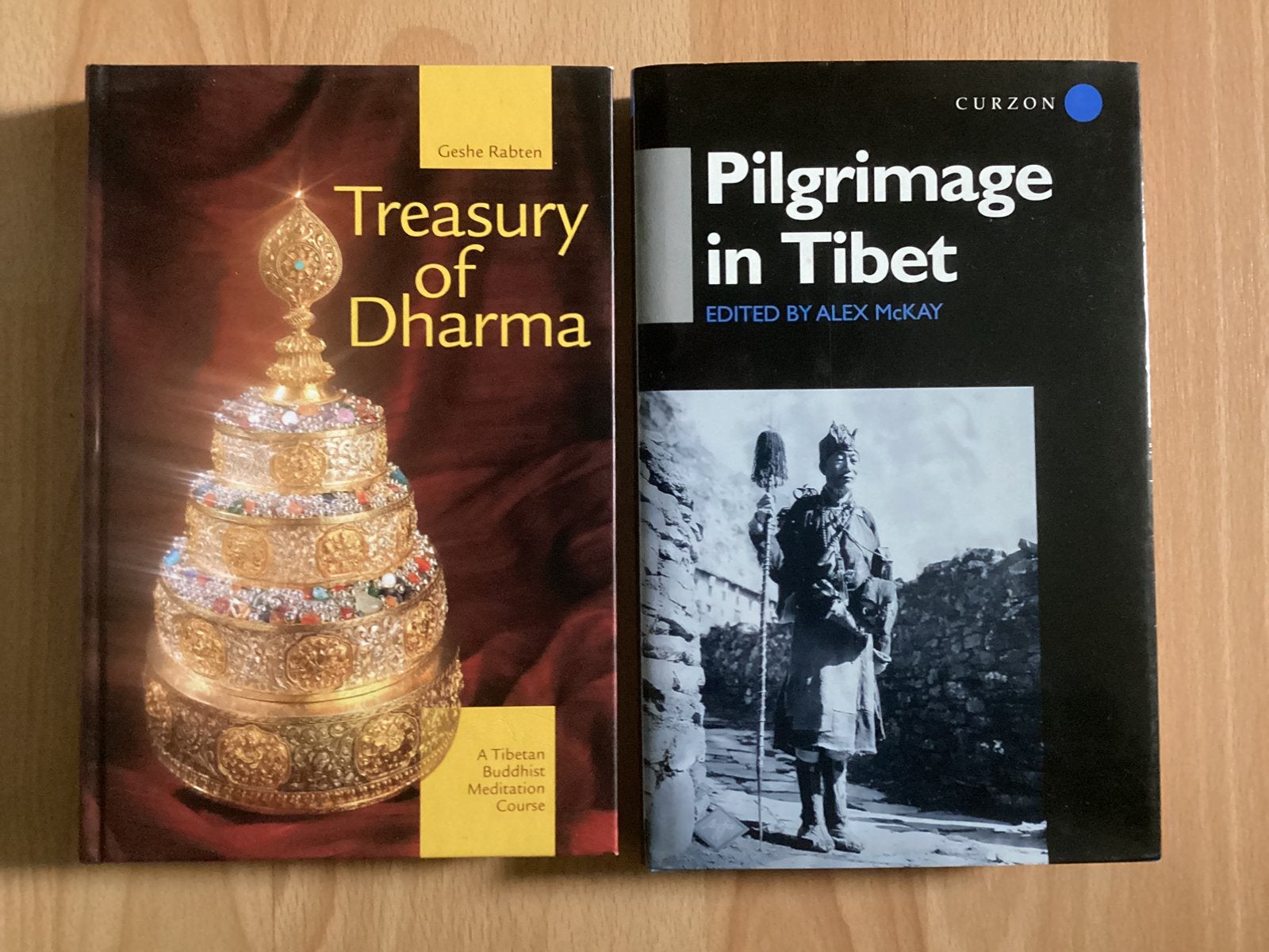 Boeken Treasury of Dharma en Pilgrimage in Tibet, Livres, Ésotérisme & Spiritualité, Enlèvement ou Envoi, Comme neuf
