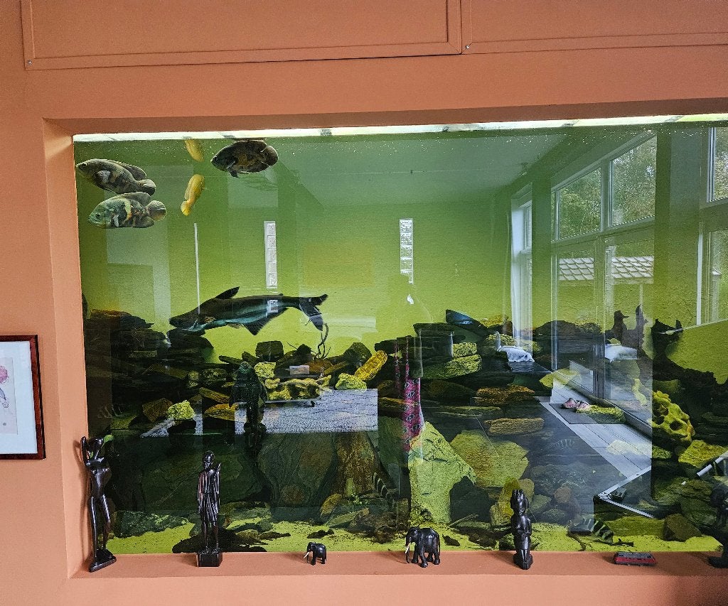 Verre trempé, 160 cm ou plus, 160 cm ou plus, Verre de sécurité, Fenêtre de façade ou Vitre