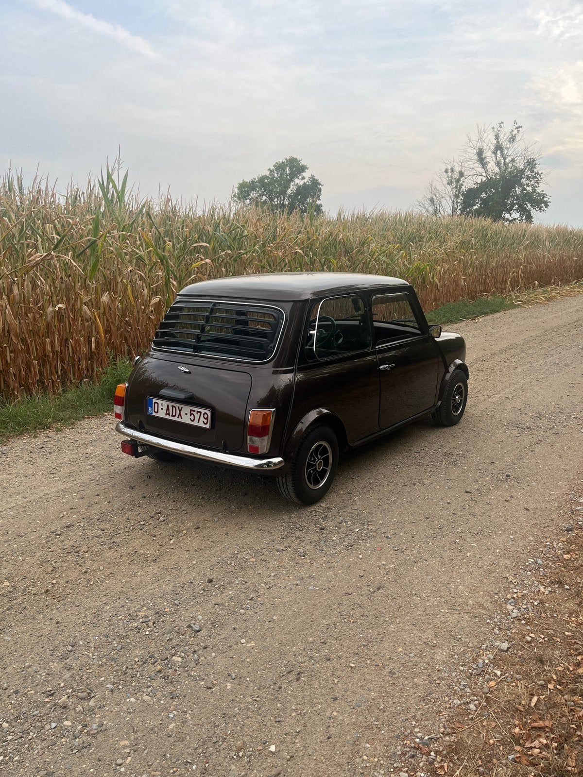 Austin mini 1983 (aangepaste prijs), Auto's, Bruin, Bruin, Diesel, Particulier