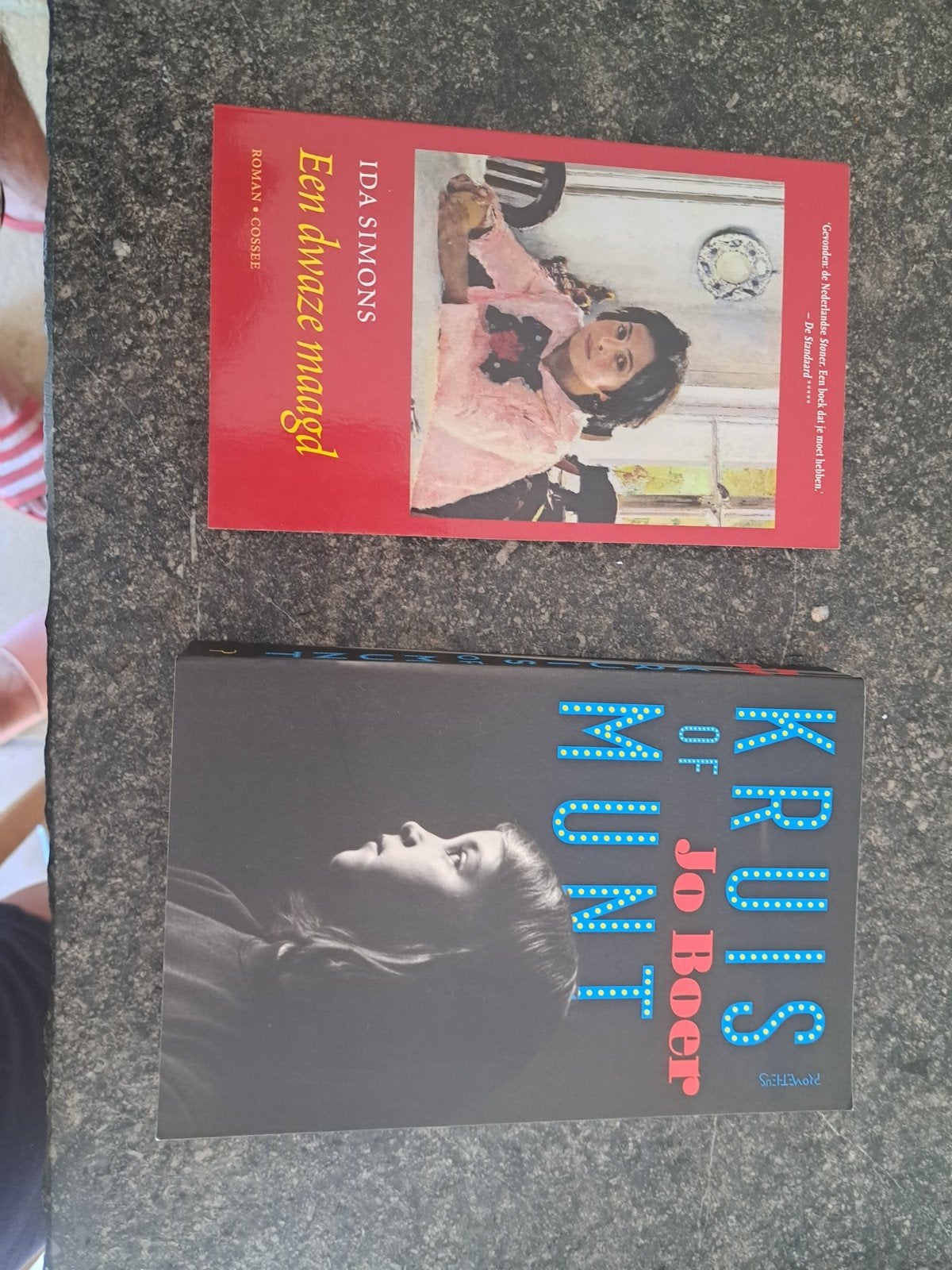 leesboeken examencommissie, Boeken, Ophalen of Verzenden