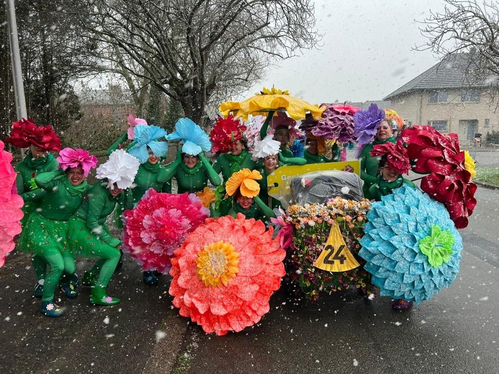 Lopend boeket carnavalstoet, Ophalen, Gebruikt, Feestartikel