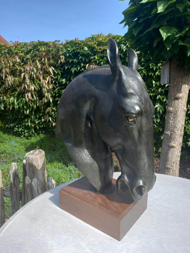 paardenkop, Enlèvement