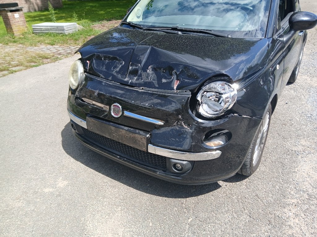 Fiat 500, Autos, Achat, Entreprise, 1249 cm³, Essence