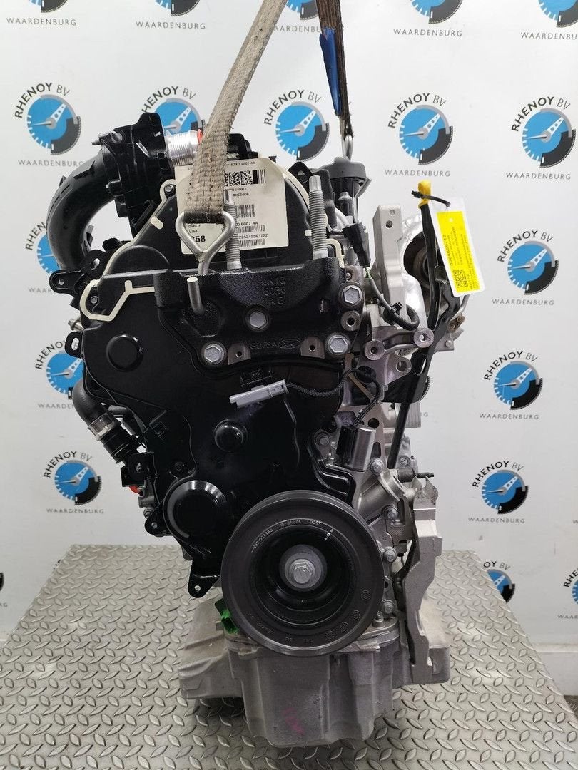 FORD TRANSIT COURIER Trend MOTOR KX6Q6006JA 2024, Ophalen of Verzenden, Gebruikt, ARN erkend