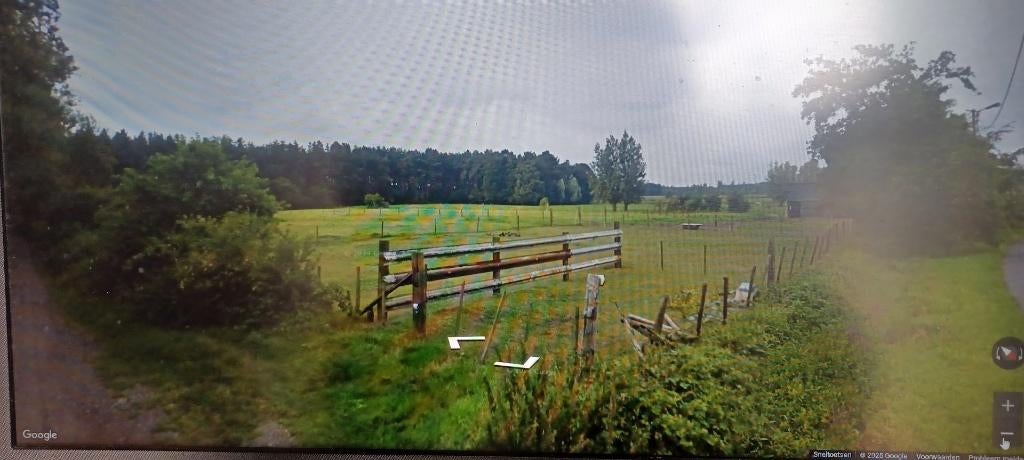 Weide te koop te 8340 SIJSELE ( DAMME ), Dieren en Toebehoren, Stalling en Weidegang, Weidegang, 2 of 3 paarden of pony's