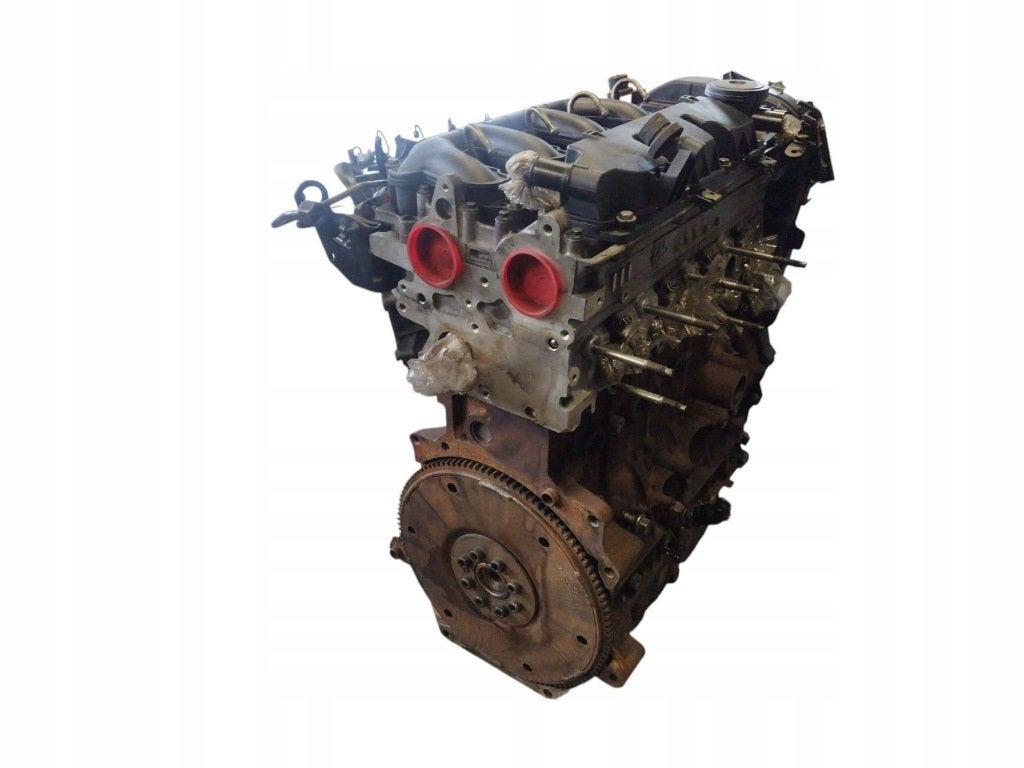 Moteur QXBA Nu MONDEO FORD, Envoi, Utilisé, Daihatsu
