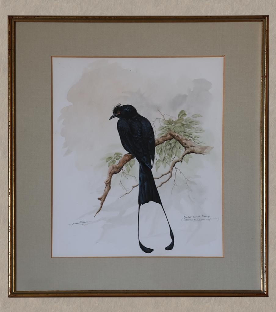 Aquarellen Gamini Ratnavira, Ophalen