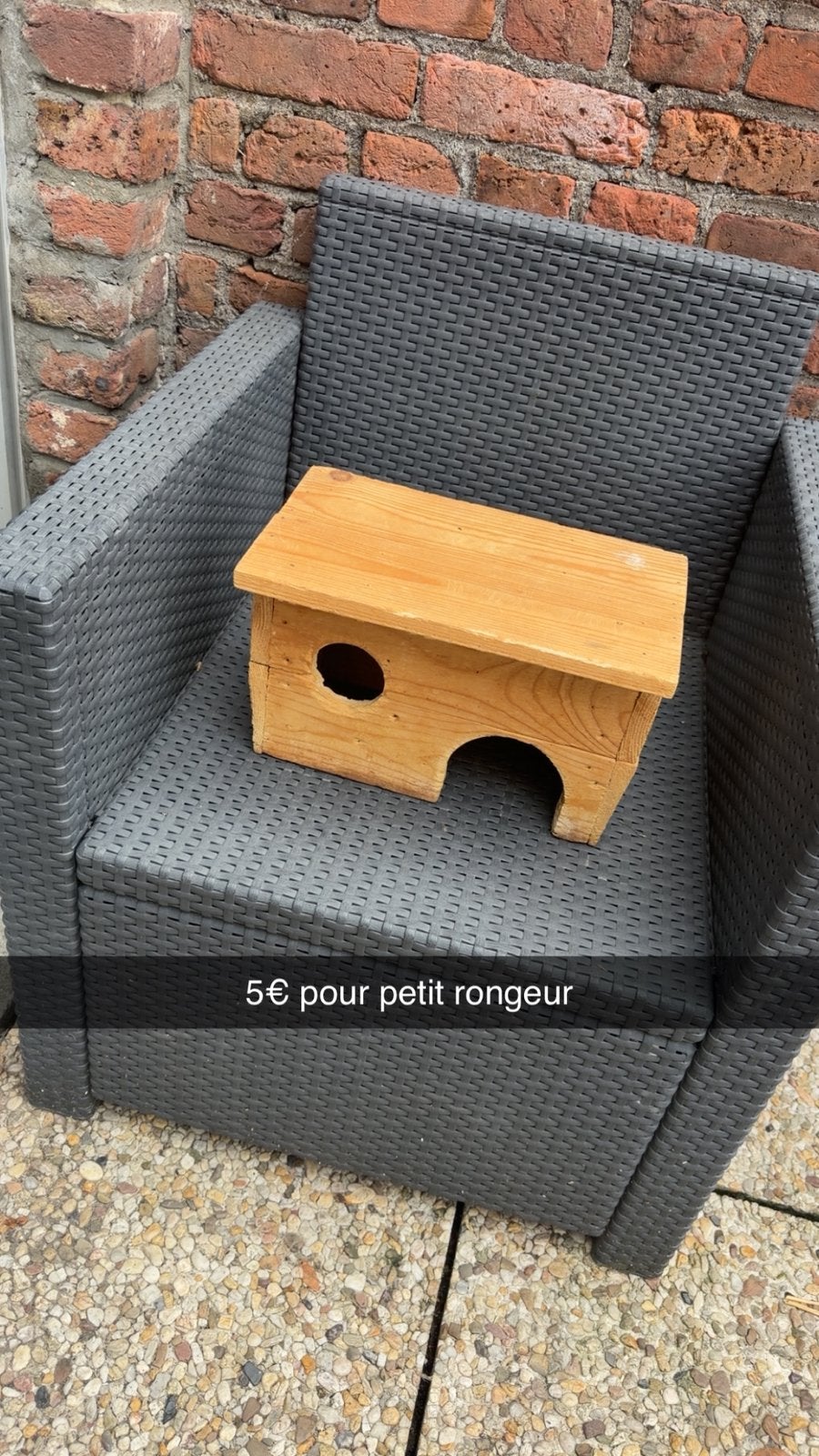 Maisonnette petit rongeur, Animaux & Accessoires, Enlèvement, Utilisé