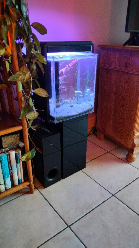 Aquarium 30 Liter, Aquarium d'eau douce rempli, Enlèvement, Utilisé, Couvercle inclus