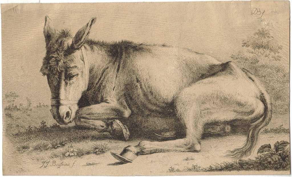 Jean-Jacques de Boissieu ets op chine "Rustende Ezel", Eau-forte, Faune et Flore, Enlèvement, Original