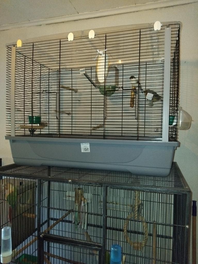 Grande cage plus glosters, Animaux & Accessoires, Oiseaux | Cages & Volières, Comme neuf, Cage d'élevage, Métal, Enlèvement