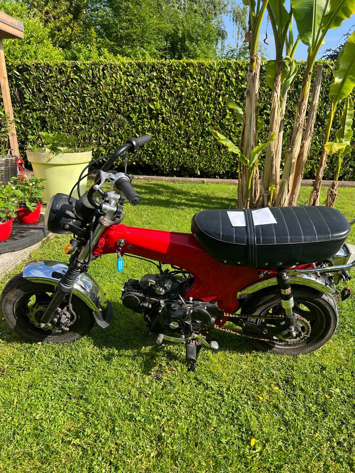 Dax 50cc, Fietsen en Brommers, Ophalen, Zo goed als nieuw